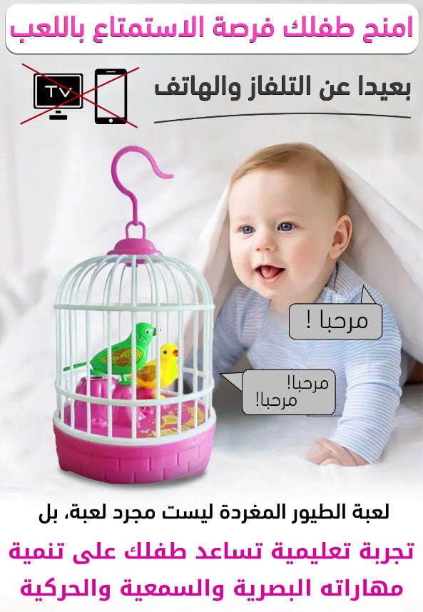 Happy Birds Cage Toy